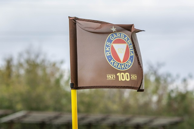 德国仍在通 德国仍在通