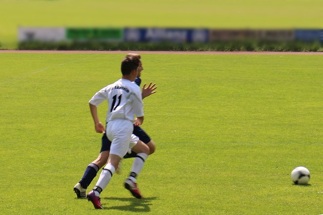 再次证明了 再次证明了