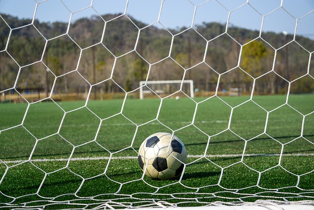 动作的外观 动作的外观