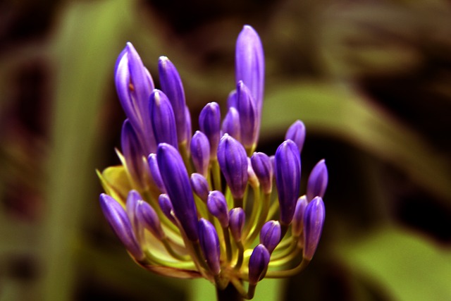 国安主场 国安主场