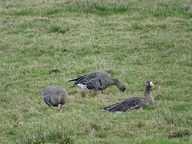 团体合作 团体合作