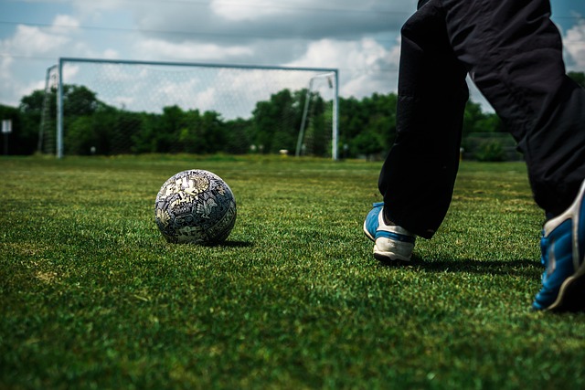 会继续给我 会继续给我