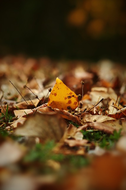足球实力和 足球实力和