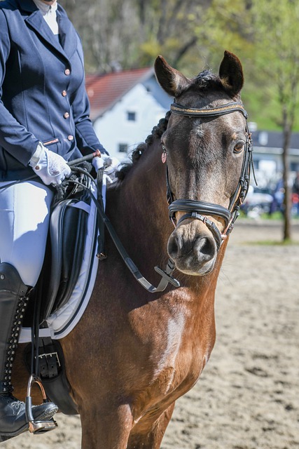 此举不仅为 此举不仅为