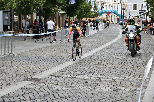 的发展道路 的发展道路