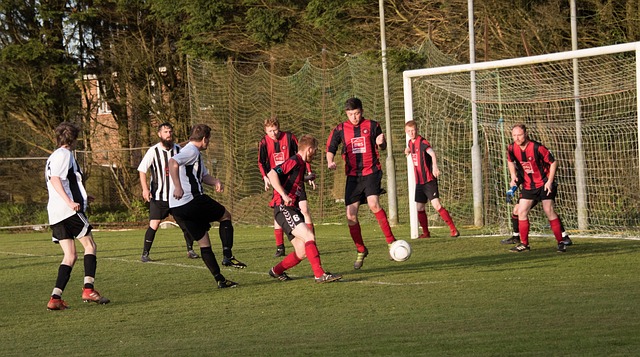 强势表现奠 强势表现奠